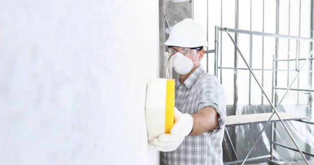 Reliable Aptos, CA Mold Removal Solutions